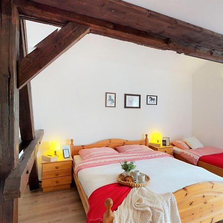 Pension U Sebastiana Hodousice Room photo