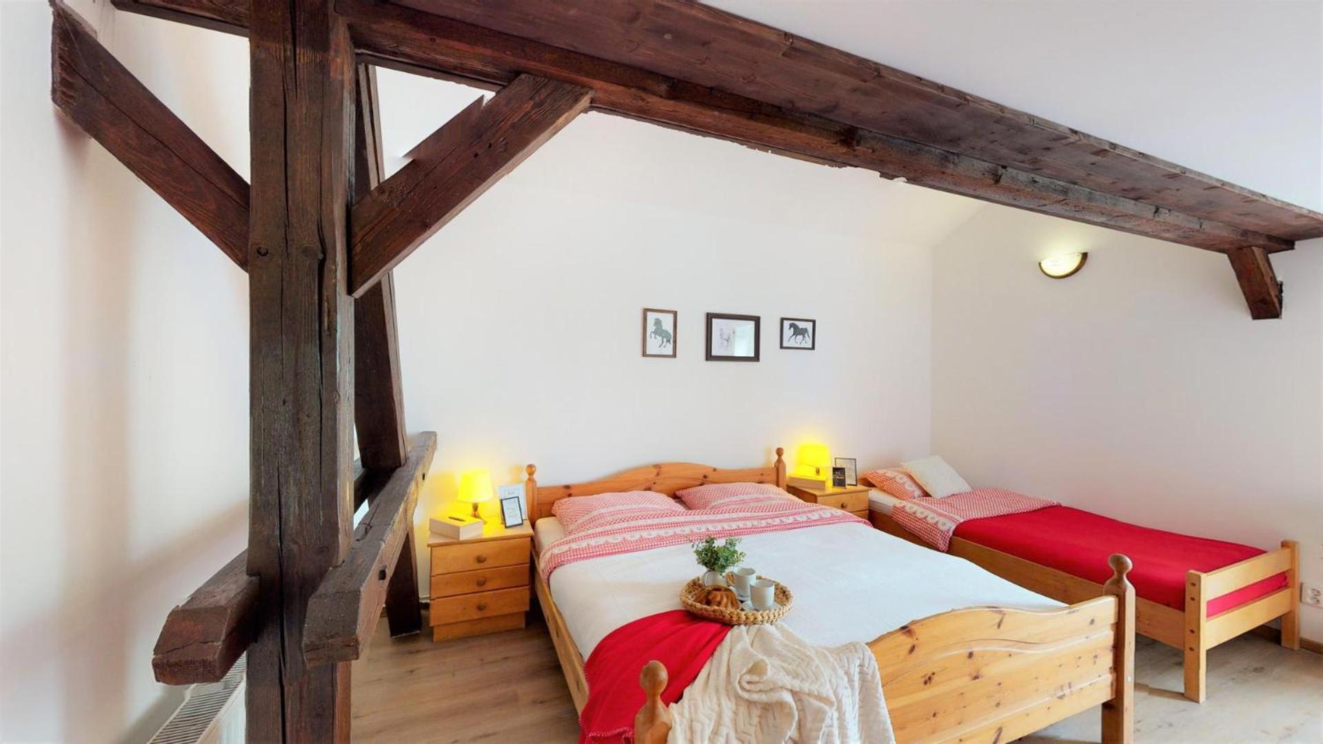 Pension U Sebastiana Hodousice Room photo