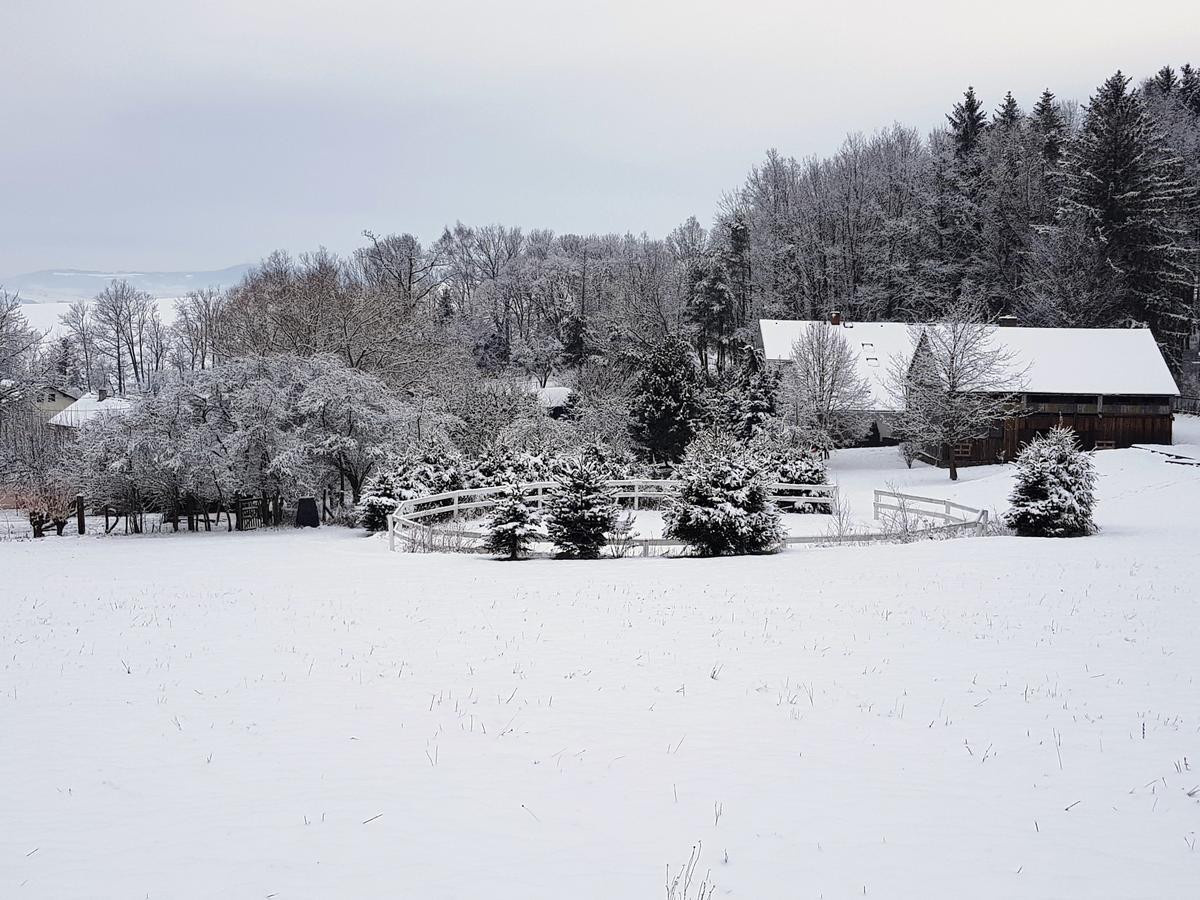 Pension U Sebastiana Hodousice Exterior photo
